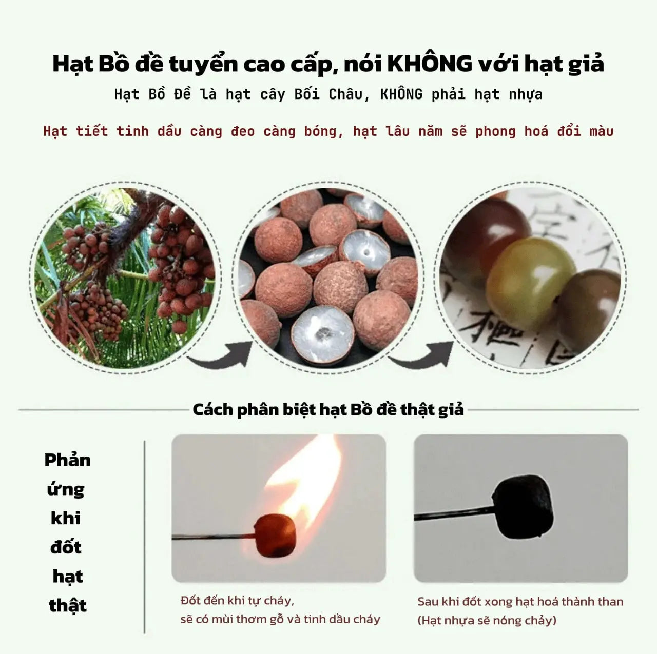 B14 Chuỗi 108 Hạt Bồ Đề Kim Cang Tự Nhiên – Bộ Bộ Cao Thăng Bình An  Bồ đề sao nguyệt