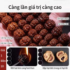 B57 Vòng Tay Bồ Đề Kim Cang 15-16mm – Hạt To Cao Cấp Bảo Hộ Năng Lượng  Bồ đề sao nguyệt