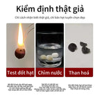 B57 Vòng Tay Bồ Đề Kim Cang 15-16mm – Hạt To Cao Cấp Bảo Hộ Năng Lượng  Bồ đề sao nguyệt