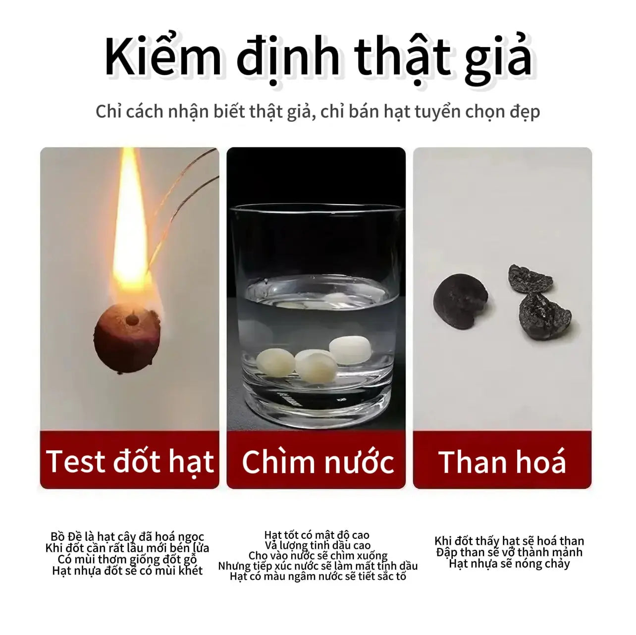 B57 Vòng Tay Bồ Đề Kim Cang 15-16mm – Hạt To Cao Cấp Bảo Hộ Năng Lượng  Bồ đề sao nguyệt