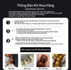 B30 Thảo Trường Oanh Phi – Vòng Tay Bồ Đề Hình Bầu Dục 6x9mm Nhẹ Nhàng  Bồ đề sao nguyệt