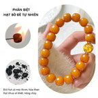 S09 Vòng Tay Bồ Đề Ngũ Hành 10mm - Vòng Tay Hạt Bồ Đề Tự Nhiên Hạt Trơn Bảo Bình An Chiêu Tài Lộc  Bồ đề sao nguyệt